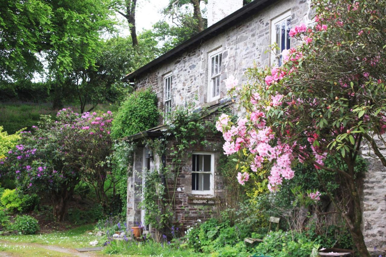 Devon Country Paradise Tavistock  Zewnętrze zdjęcie