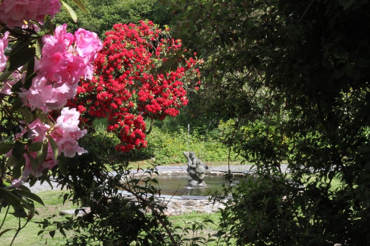 Devon Country Paradise Tavistock  Zewnętrze zdjęcie