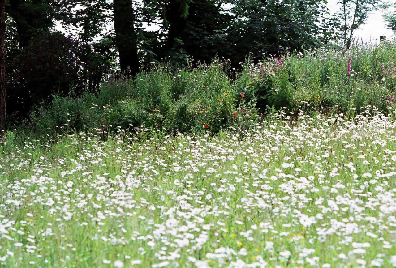 Devon Country Paradise Tavistock  Zewnętrze zdjęcie