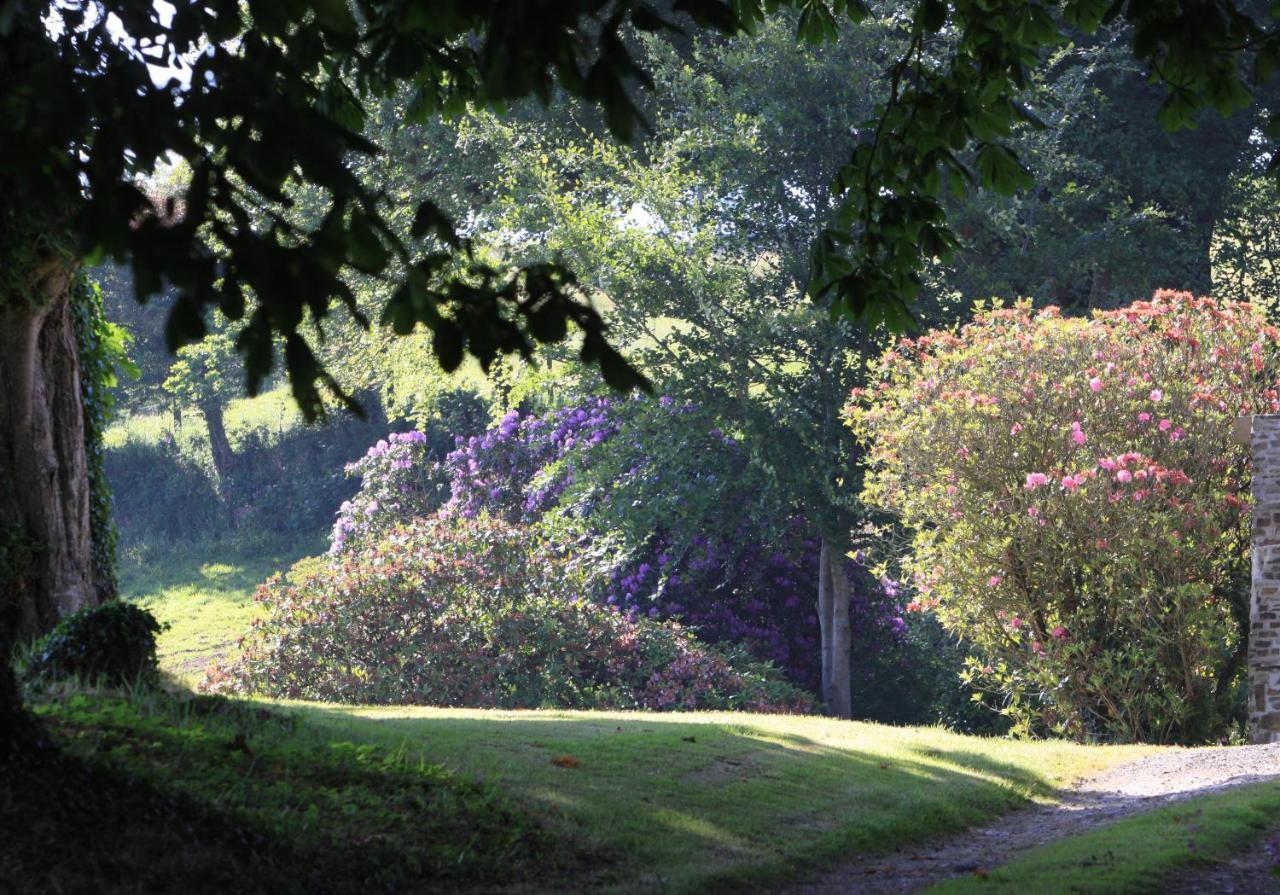 Devon Country Paradise Tavistock  Zewnętrze zdjęcie