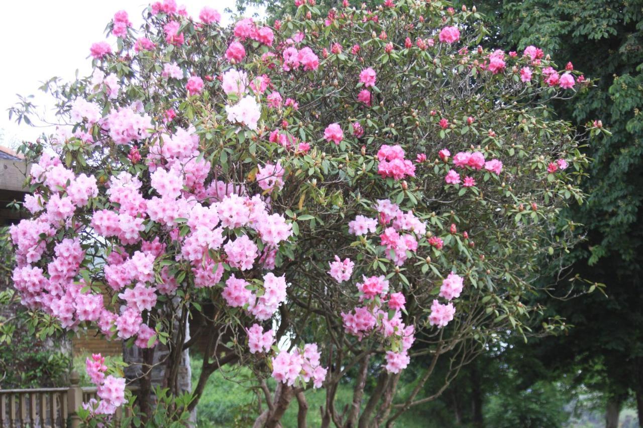 Devon Country Paradise Tavistock  Zewnętrze zdjęcie