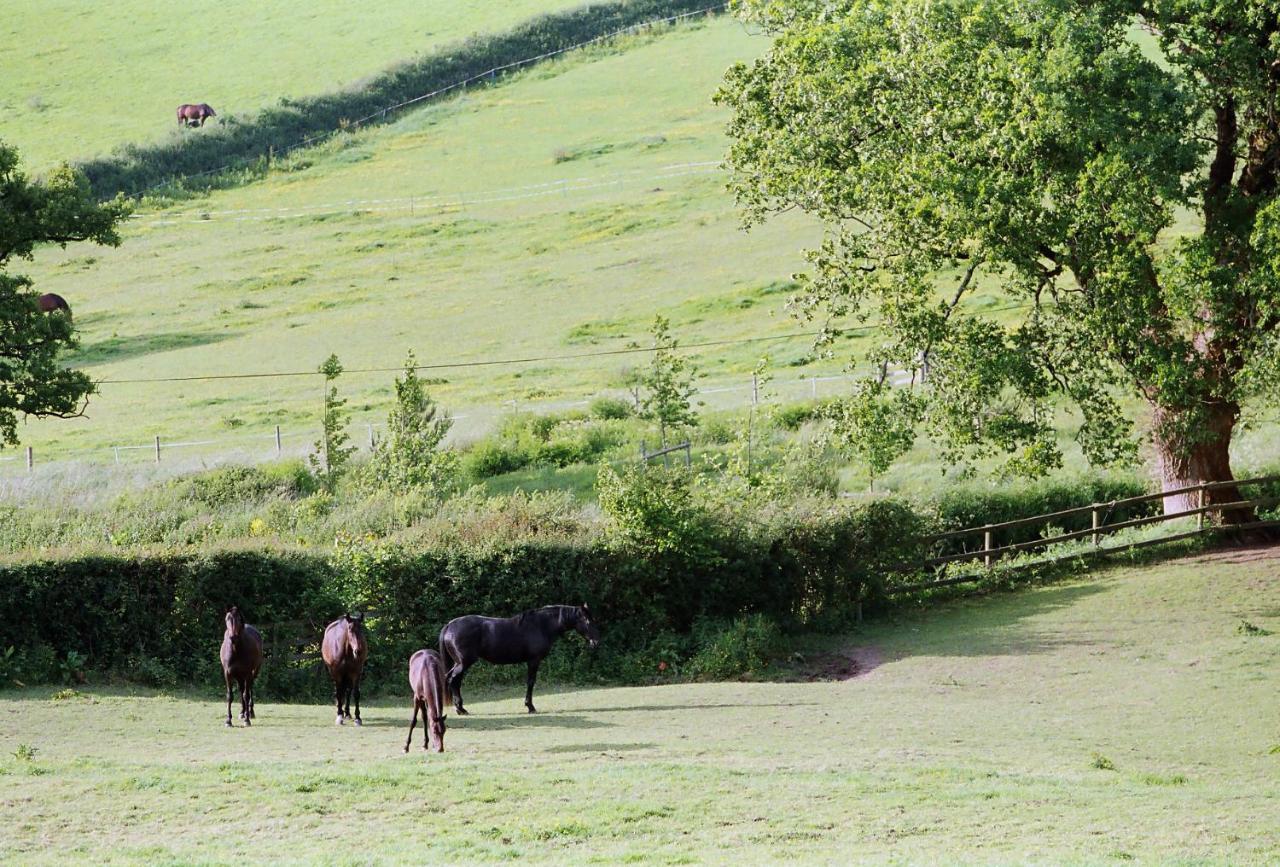Devon Country Paradise Tavistock  Zewnętrze zdjęcie