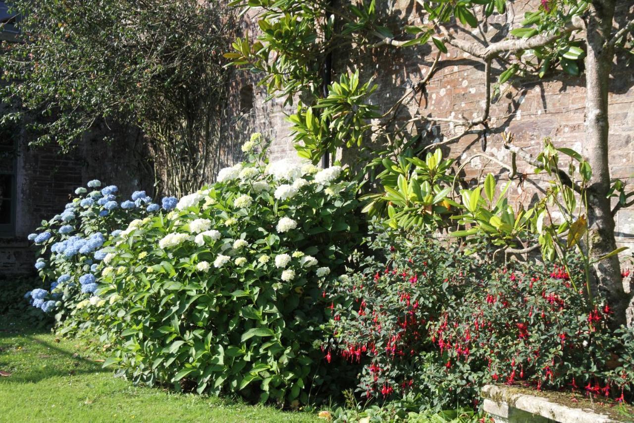 Devon Country Paradise Tavistock  Zewnętrze zdjęcie