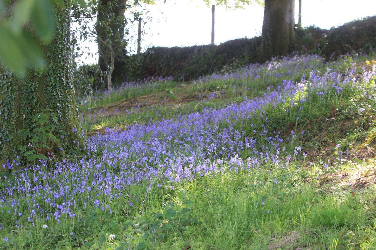 Devon Country Paradise Tavistock  Zewnętrze zdjęcie