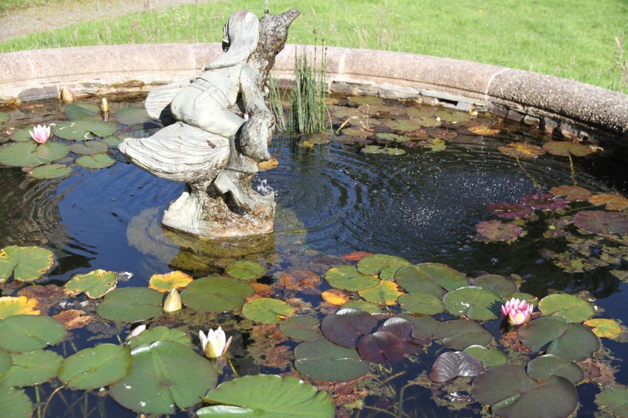 Devon Country Paradise Tavistock  Zewnętrze zdjęcie