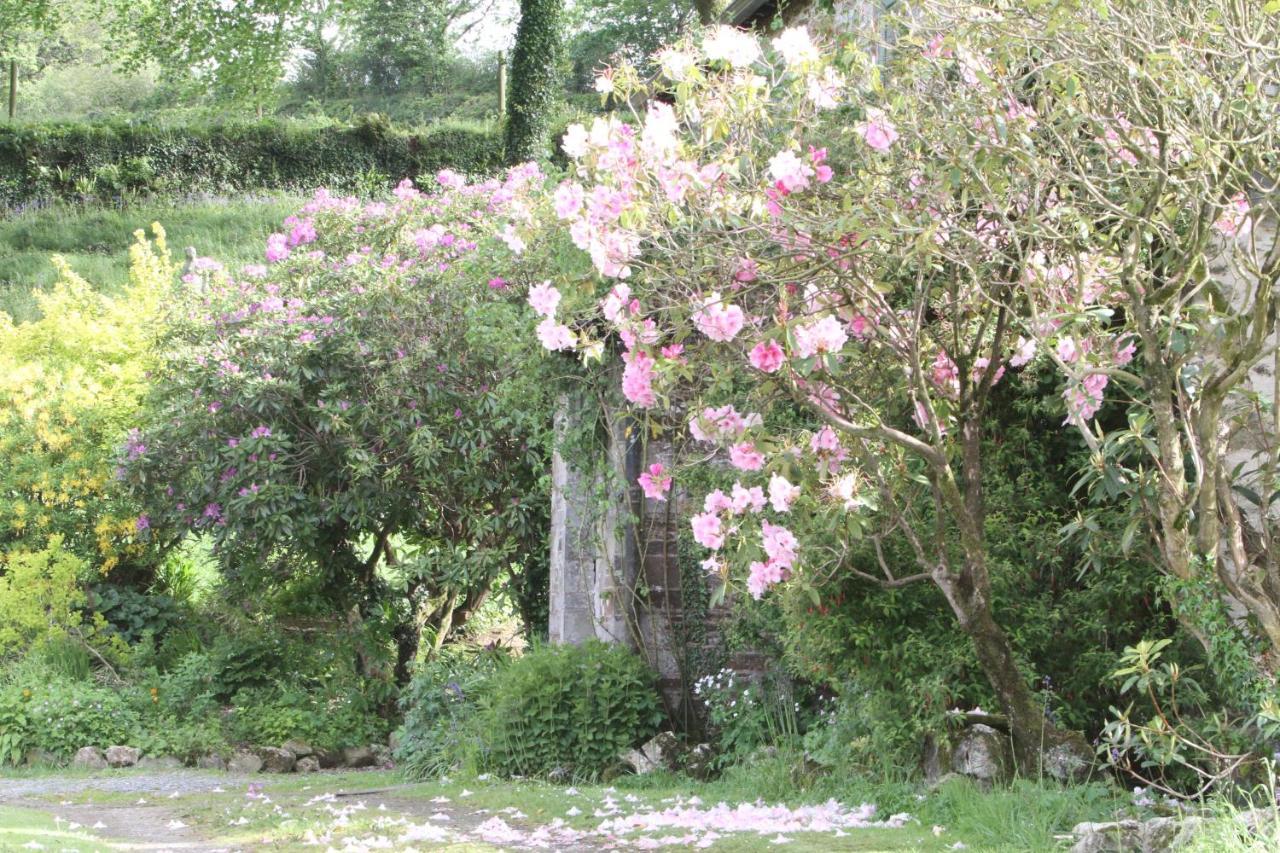 Devon Country Paradise Tavistock  Zewnętrze zdjęcie